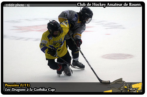Does Amateur de hockey something Exaggerate. think Amateur de hockey can defined?